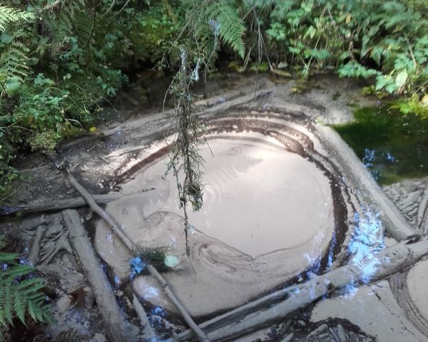 Lähde, jossa vaahtoa.