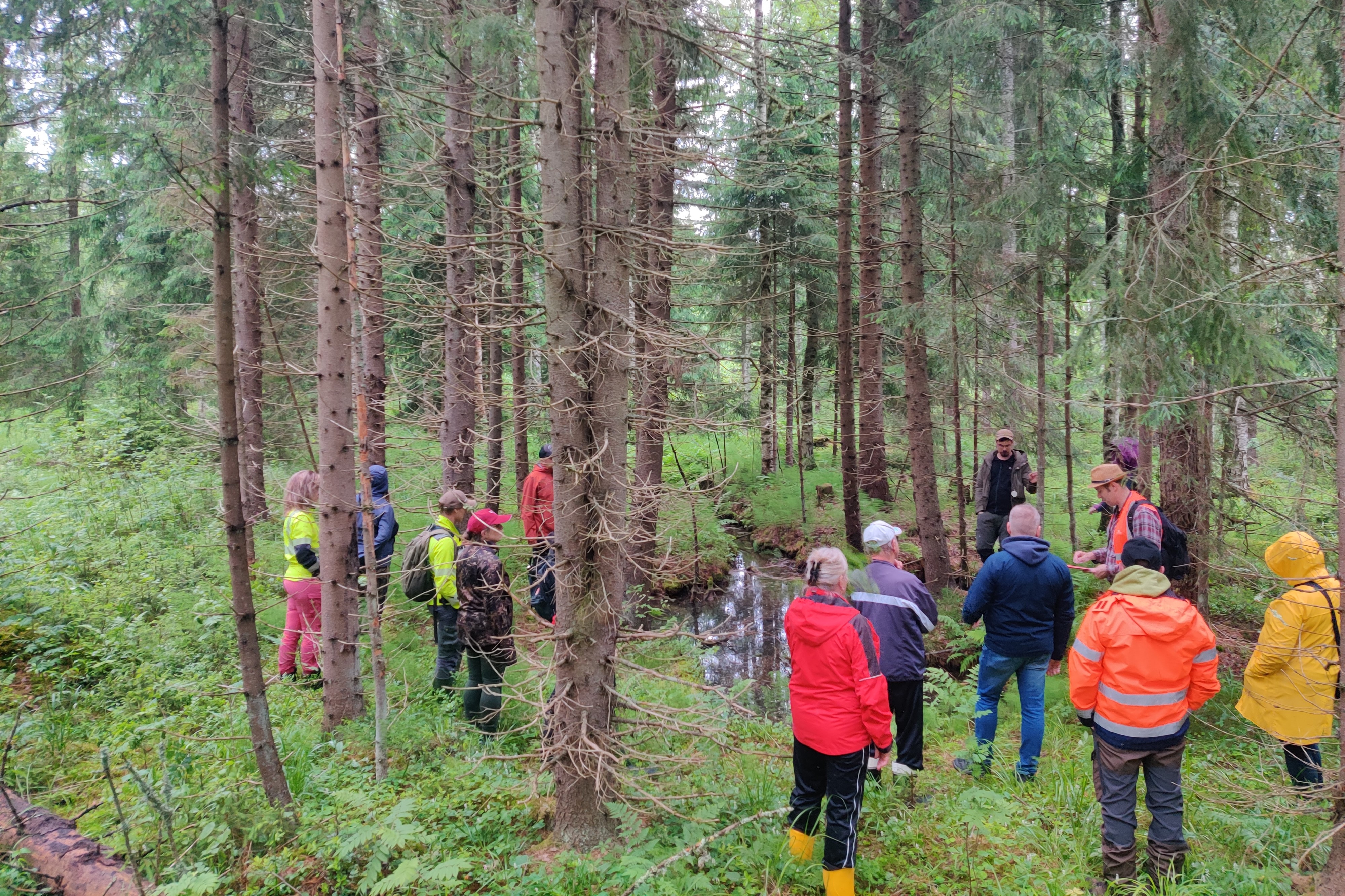 Ihmisiä metsässä.
