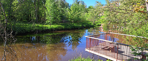 Kuvassa on puisto.