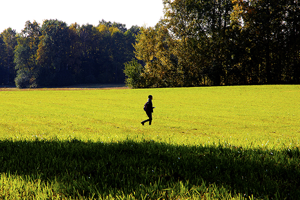Erittäin vihreä pelto, jolla kävelee joku kaukaa kuvattuna.