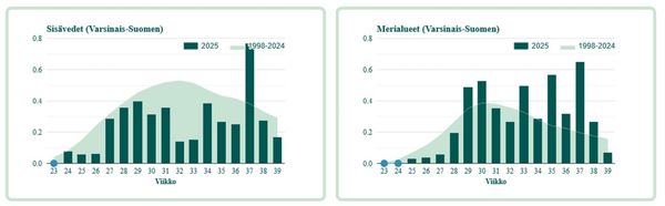 Merimaisema talvella ja mies kävelee rantakivillä reppu selässä..