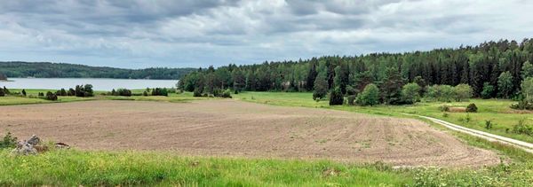 Kipsinlevitystä pellolle.