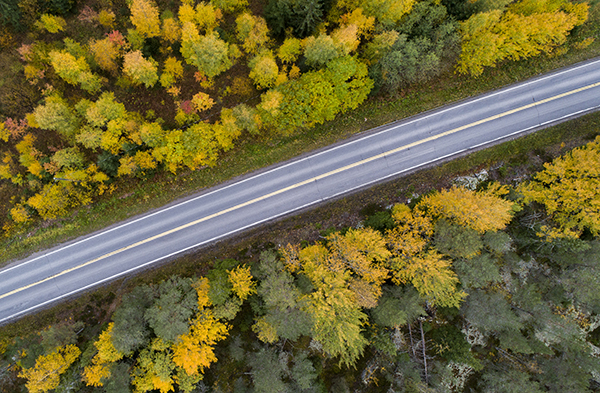 Tie ja syksyisiä puita ilmakuvassa.