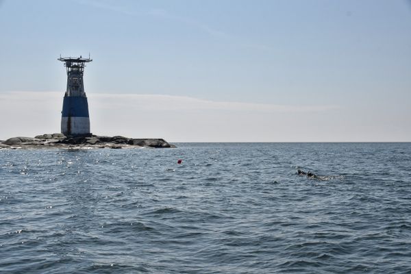 Kaksi sukeltajaa Bogskärin majakkasaaren edustalla