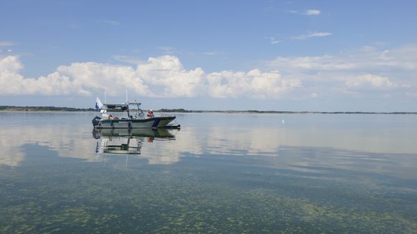 Moottorivene ankkuroituna lähelle rantaa tyynenä päivänä Saaristomerellä
