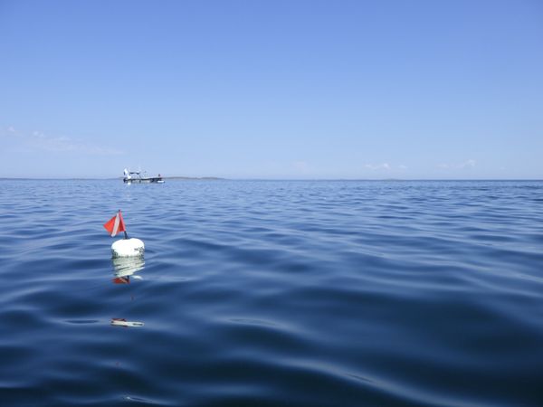Kartoitusvene ja poiju merkkaavat sukelluslinjan päädyt tyynenä kesäpäivänä merellä