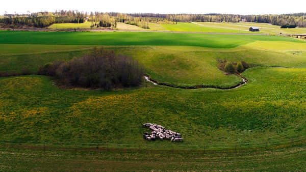 Kilpailun finalistit.