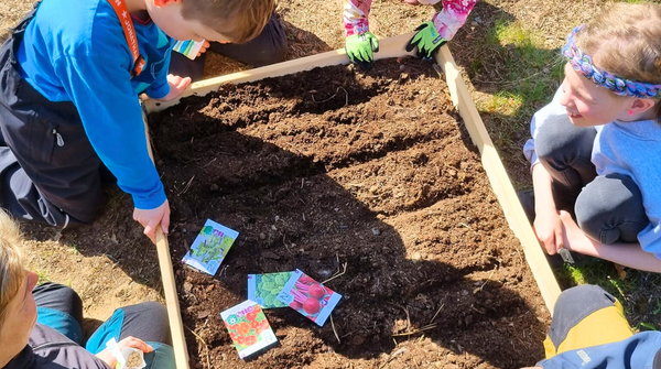 Lapset lavakauluksen ympärillä.
