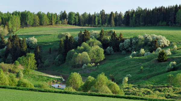 Maisemakuva Halikosta.