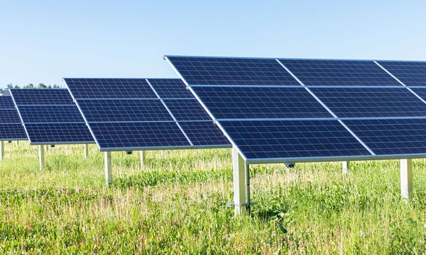 Aurinkopaneeleita ruohikossa.