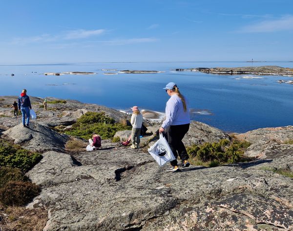 Koululaiset keräämässä roskia kalliorannalta.