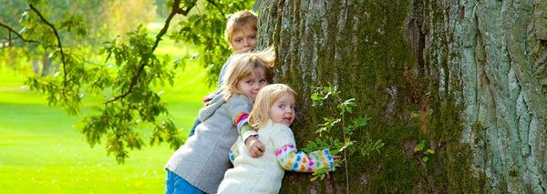 Lapset halaavat isoa puuta.