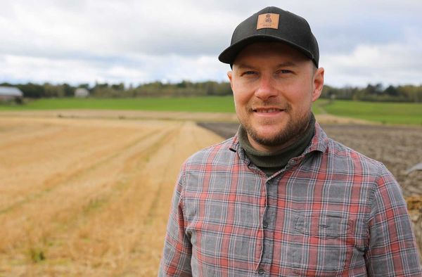 Jordbrukare Juha Vainio på gården Skotlannin Maatalous Oy i Bjärnå är nöjd med gipsets inverkan på odlingen av frilandsgurka.