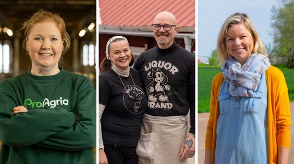 Kilpailun finalistit.