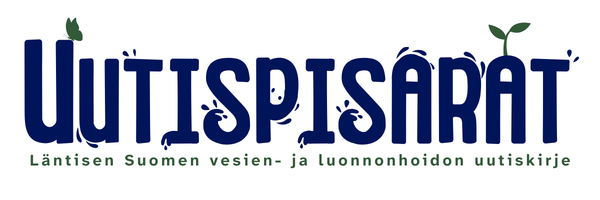 Uutiskirjeen banneri.