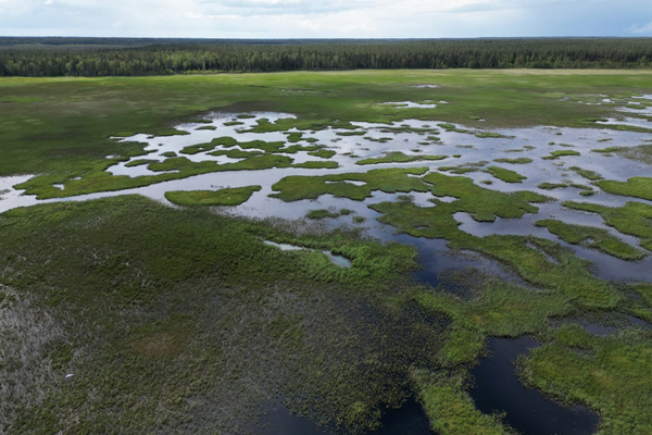 Droonilla kuvattu kuva, jossa näkyy merta ja saaristoa.