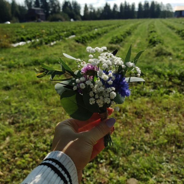 Kuvituskuva