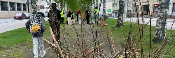 kuvituskuva