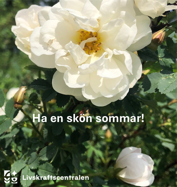 Vi önskar all en skön sommar!