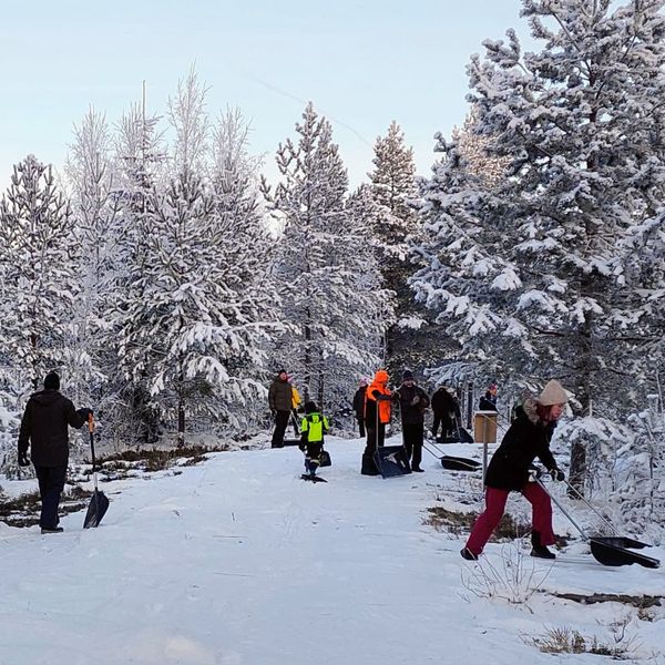 Ihmisiä kolaamassa latupohjaa talvisessa metsässä.