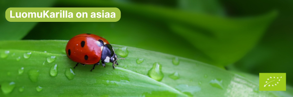 Leppäkerttu, teksti LuomuKarilla on asiaa ja EU:n luomumerkki.