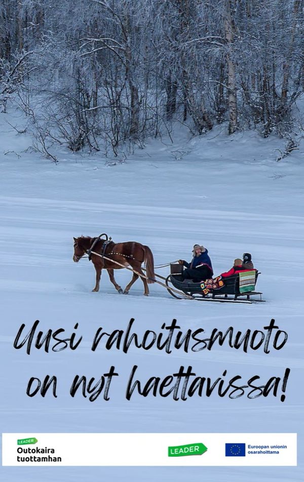 Rekihevonen vetää rekeä