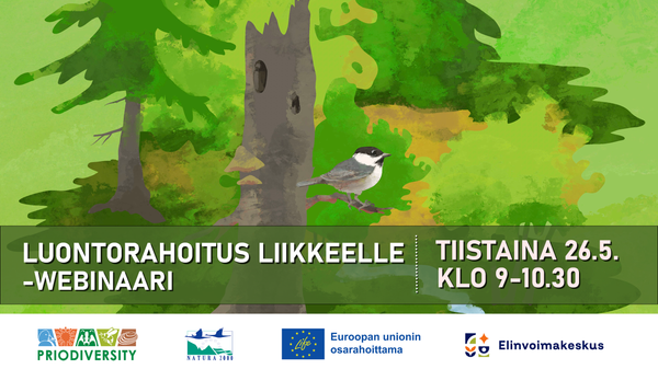 Webinaarin mainos