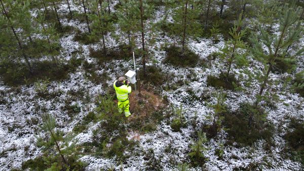 Työasuinen mies tarkastaa mittauslaitteistoa metsäisellä alueella.