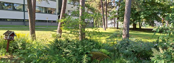 Kasvistoja, puita ja nurmikkoa kerrostalon pihalla.