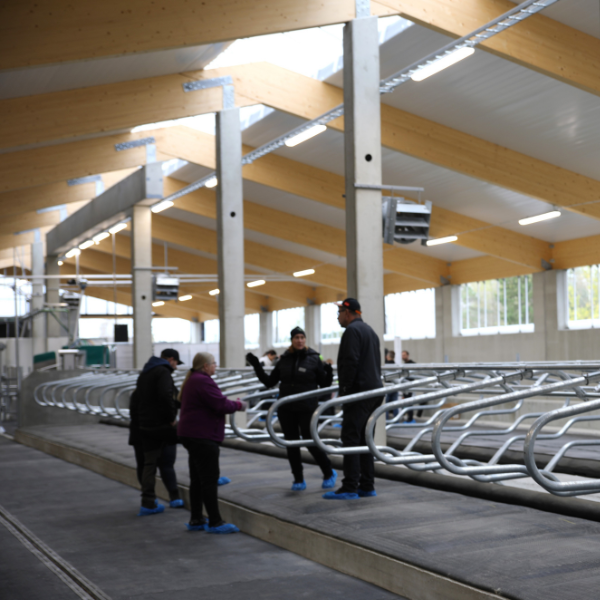 Uusi navetta, jossa on ihmisiä juttelemassa.