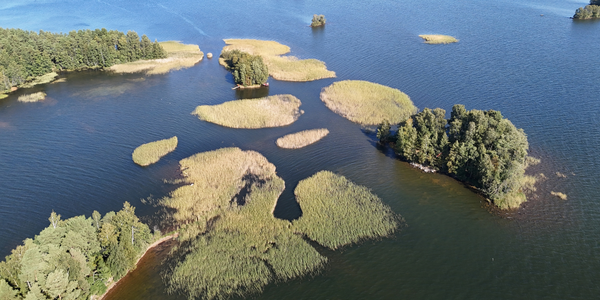 Pyhäjärven Iissalon saaristoa.