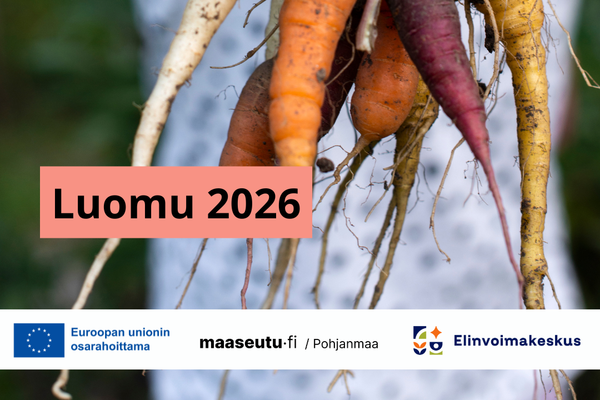 Juureksia. Teksti: Luomu 2026