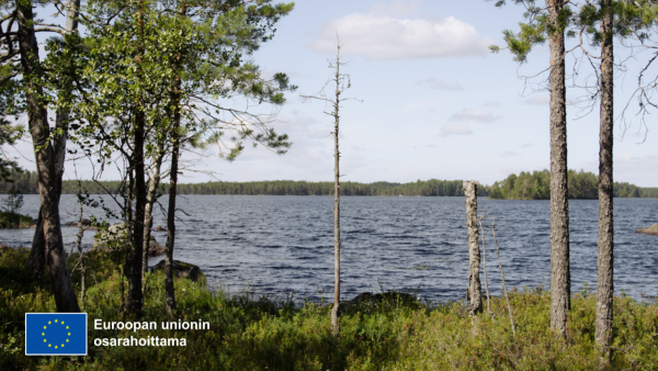 Metsäinen merimaisema.  EU-lippu-logo