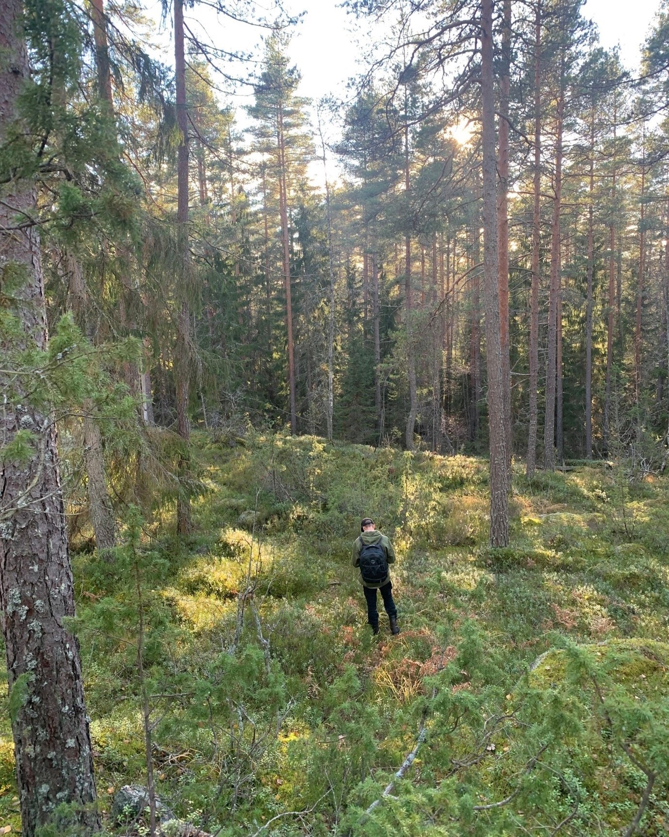 Henkilö seisomassa metsän keskellä.