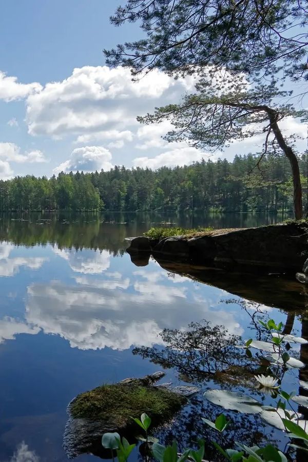 Ihmisiä joella.