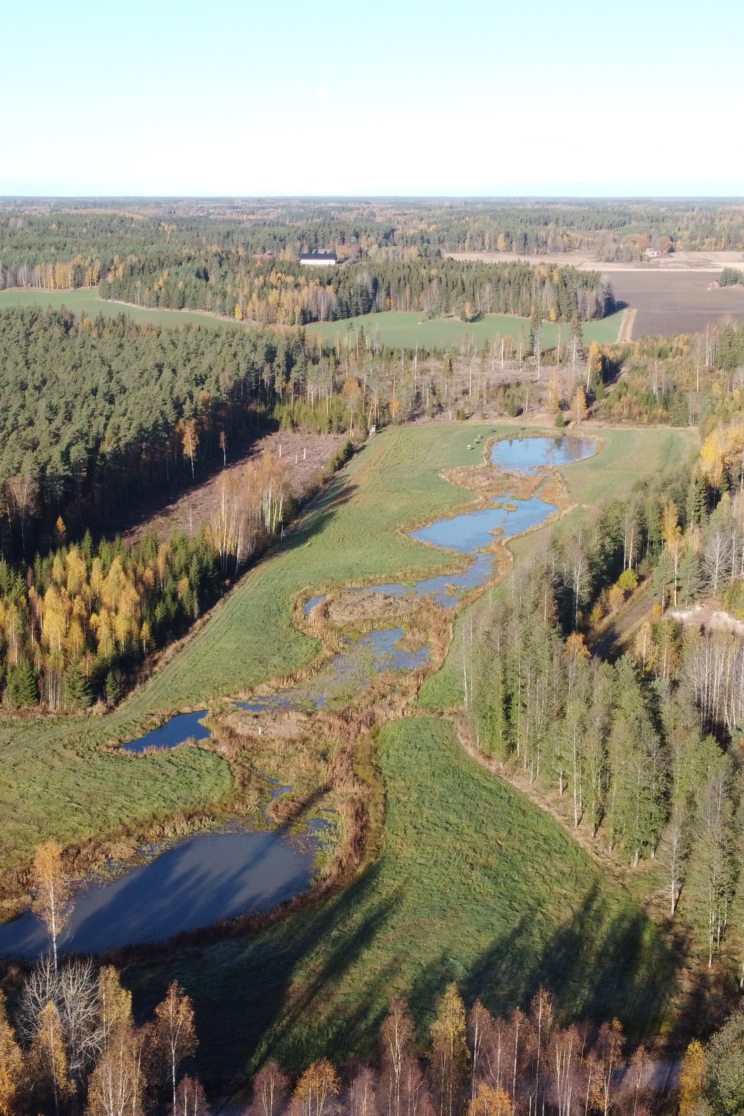 Ilmakuva kosteikosta.
