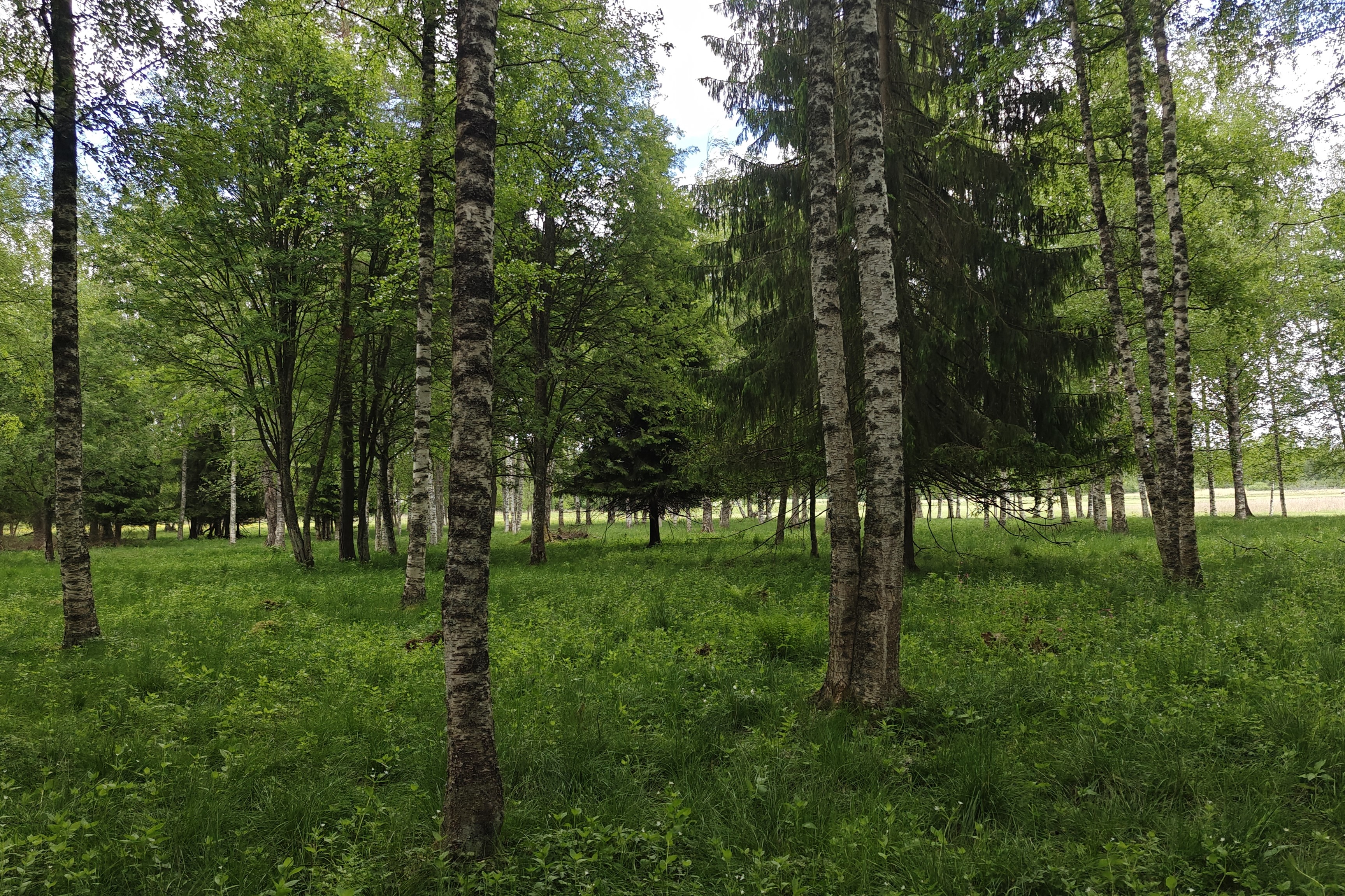 Rantalaidunta.