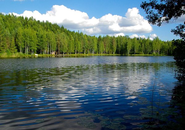 Järvimaisema poutasäällä.