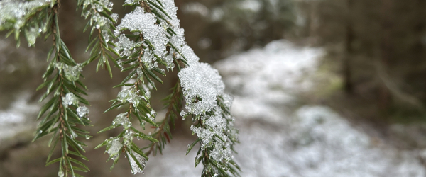 Sininen teemaelementti