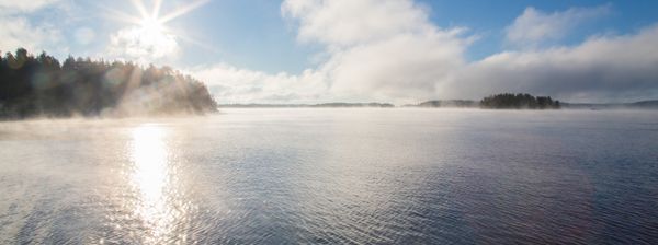 Leppäkerttu lehdellä.