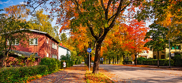 Katu, jonka varrella puutaloja ja ruskapuita.
