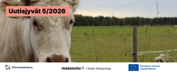 Uutisjyvät kansikuva