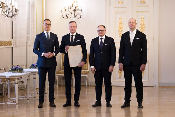 keltaisia puita kuvituskuva.