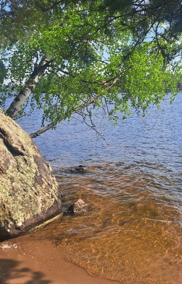 leväseuranta