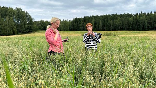 peltovalvnnat käynnissä pellolla.