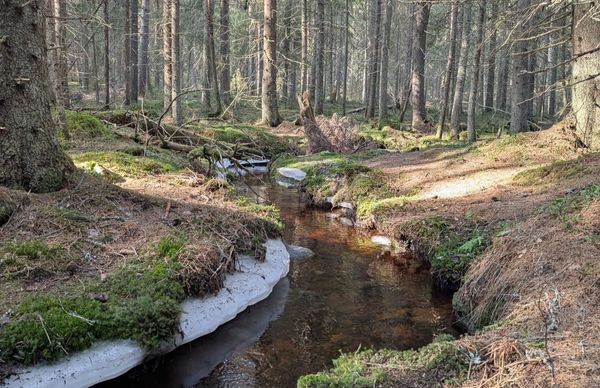 Keväinen puro