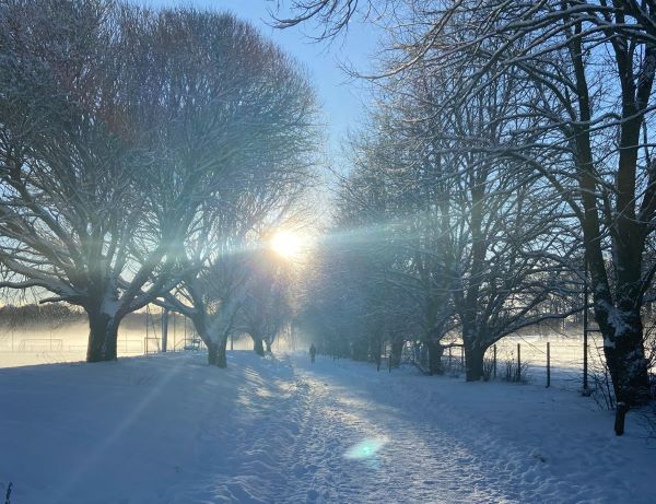Aurinkoinen talvimaisema puistossa. 